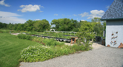 Plant Benches